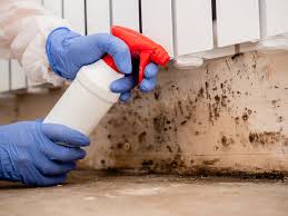 Why You Should Choose Our Mold Remediation Services in Dobbs Ferry, NY